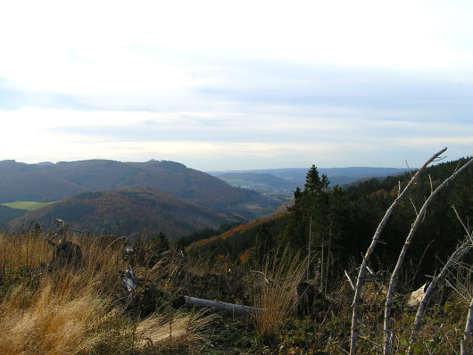 Im Vordergrund der Ruthenberg; dahinter der Gipfel vom Olsberg -704 m-, am rechten Bildrand sind noch die Häuser der Ortschaft Olsberg zu erkennen.